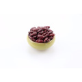 HPS Red Vigna Bean Marktpreis Red Bean Adzuki Bean